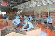 Cá cơm khô Dũng Liễu 1kg ảnh 5