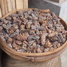 Cà phê chồn Tây Nguyên