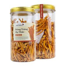 Đông trùng hạ thảo khô ảnh 3